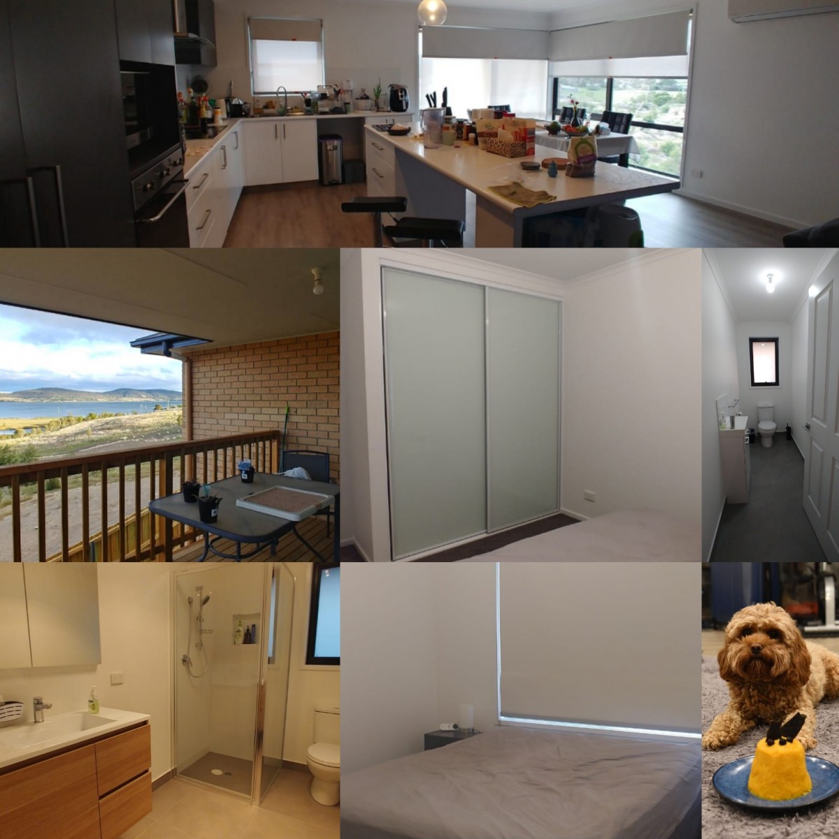 rokeby rent photos.jpeg